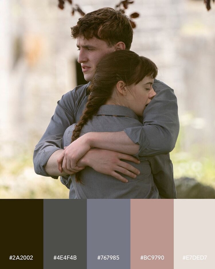 hulu normal people huggin scene color palette
