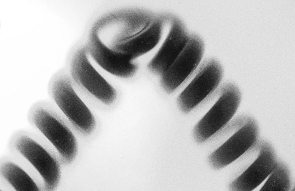 vintage photo of women at desktop computer